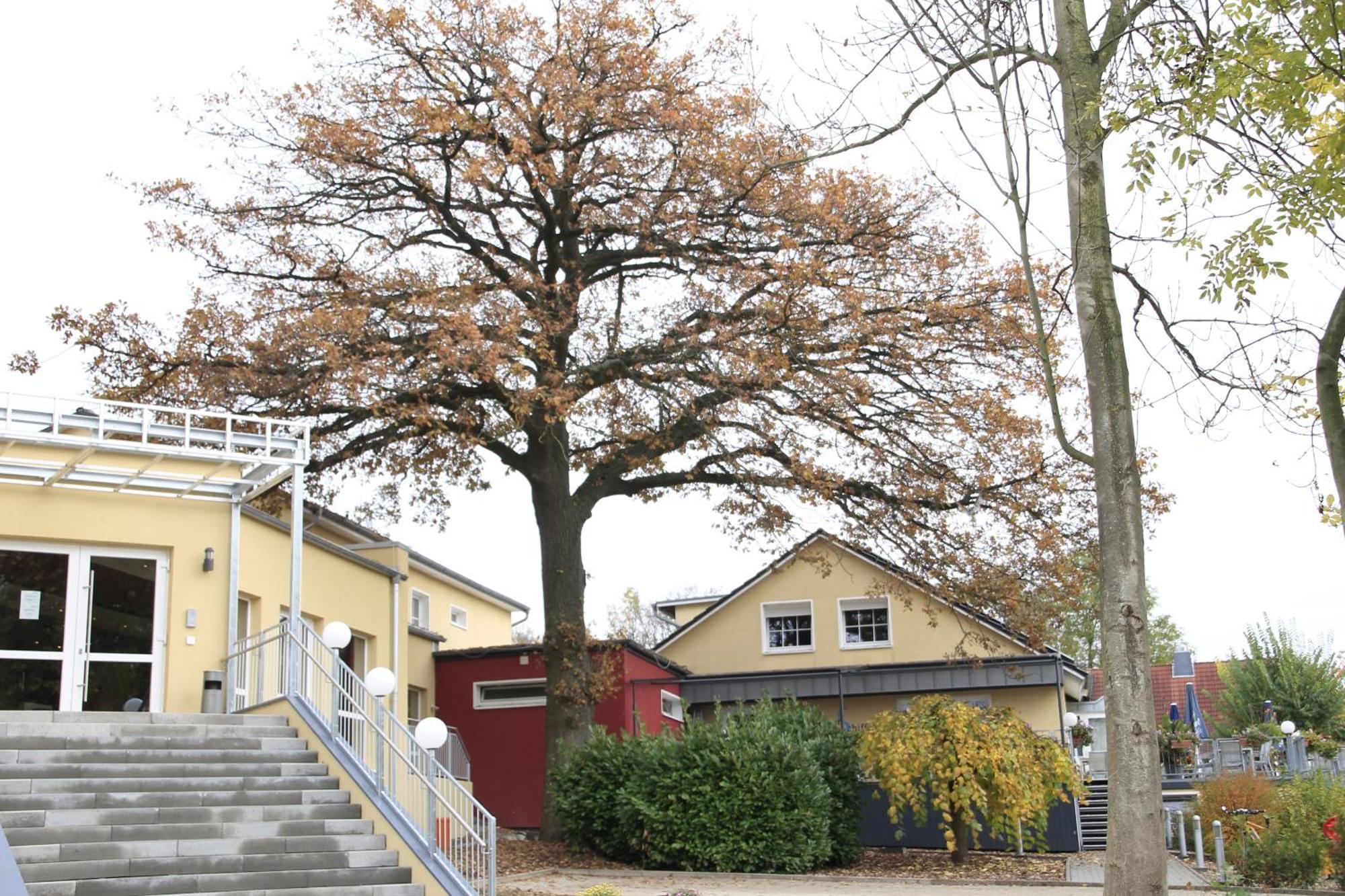 Hotel Weserschiffchen Porta Westfalica Kültér fotó